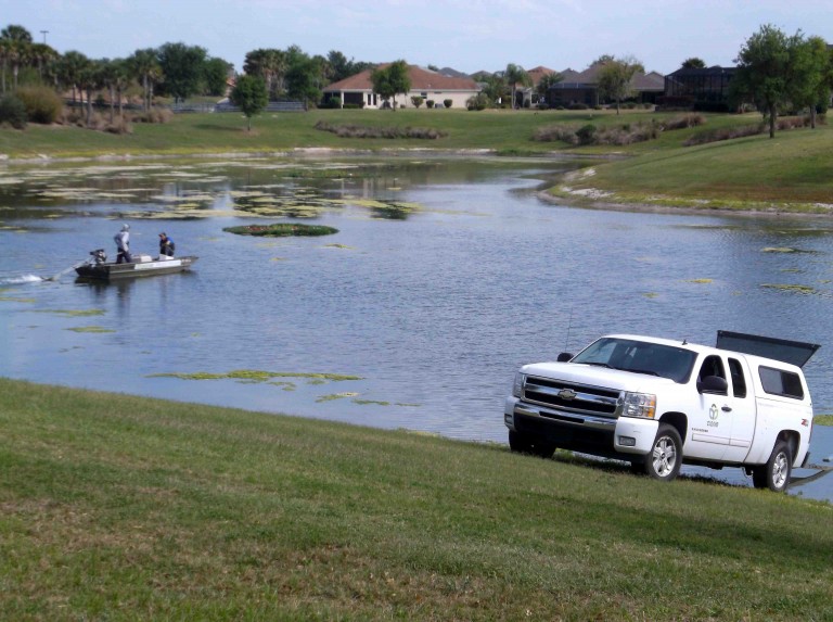 Hydrilla treatments will be taking place over next month at ponds in The Villages