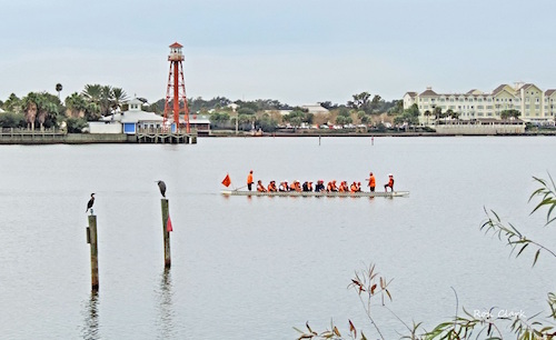 Dragon Boat practice on Lake Sumter in The Villages