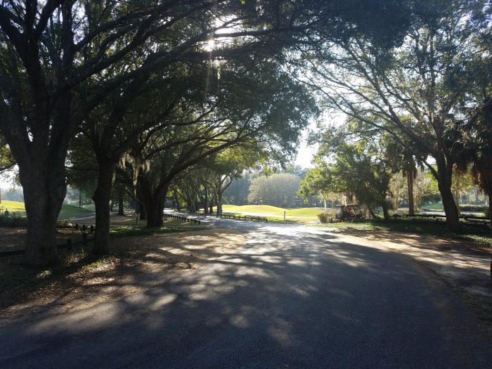Hickory Head Hammock Road