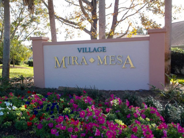 Leaf blower stolen from garage in Village of Mira Mesa