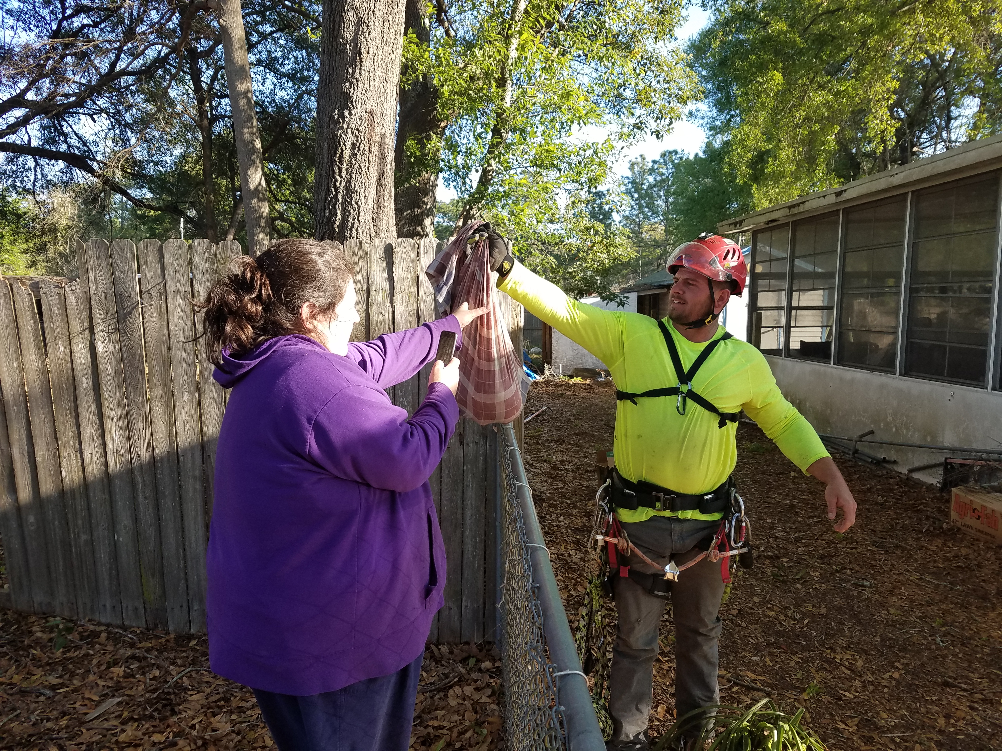 Cat rescued from tree after 13 days by Anderson Tree Care