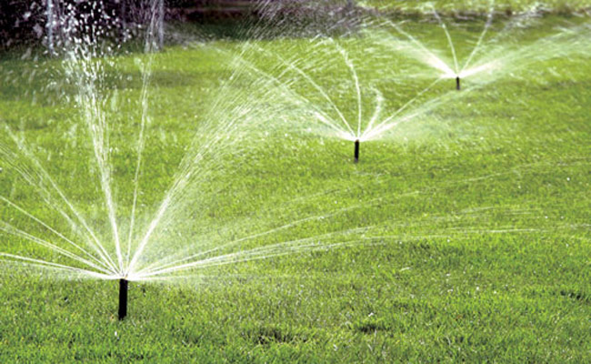 Erroneous calculations relating to irrigation usage