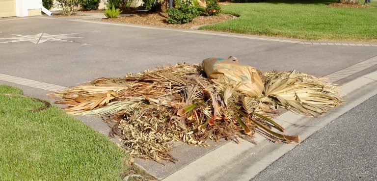Storm debris will be collected at curbsides at homes in The Villages