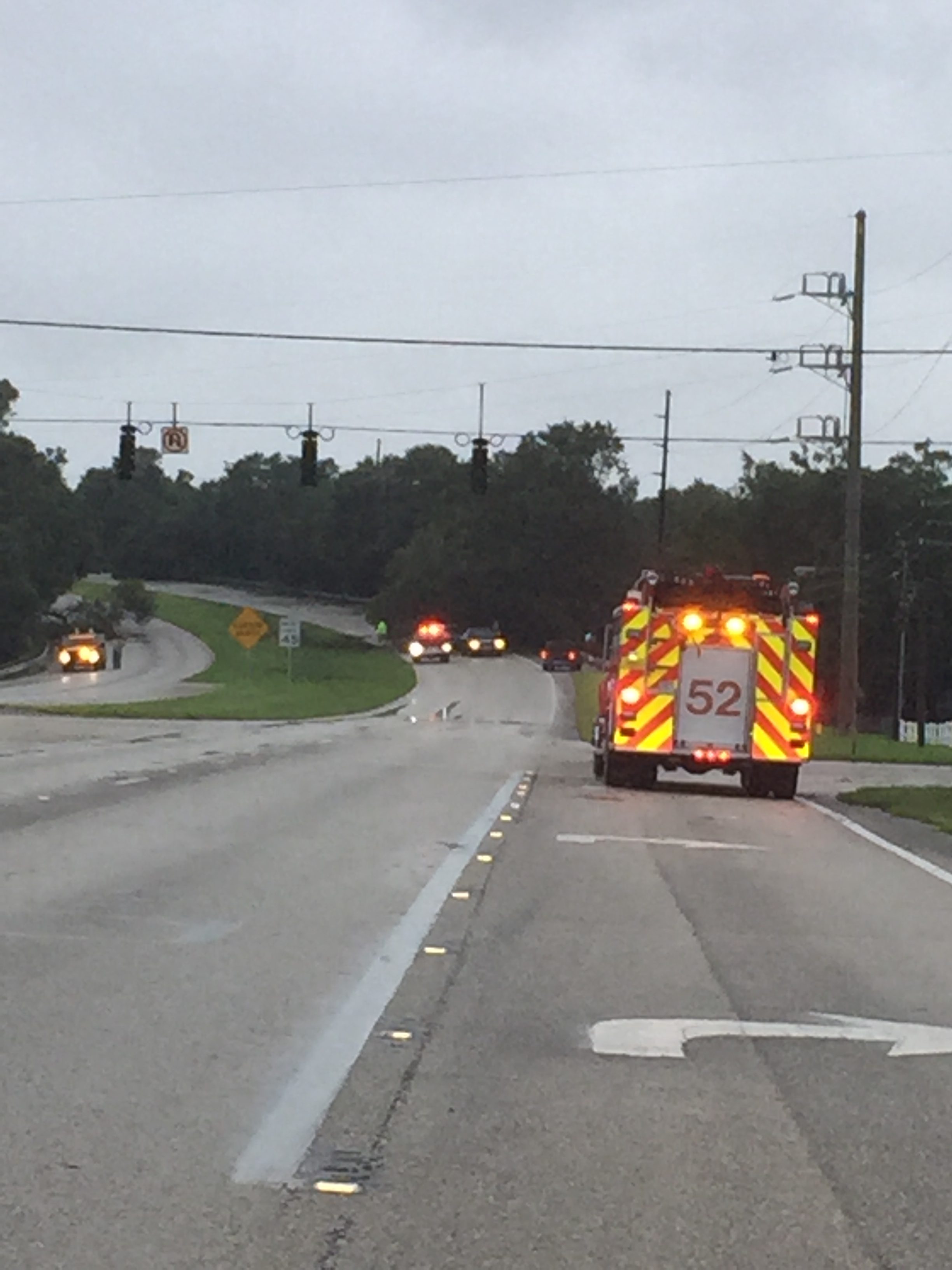 Trees on both sides of Hwy 27 just north of CR 25