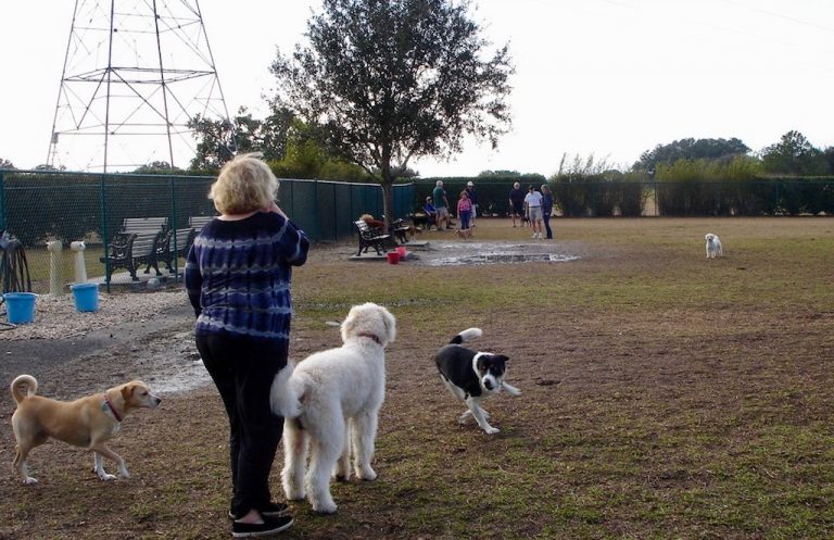 Dog parks in The Villages will be closed due to Coronavirus