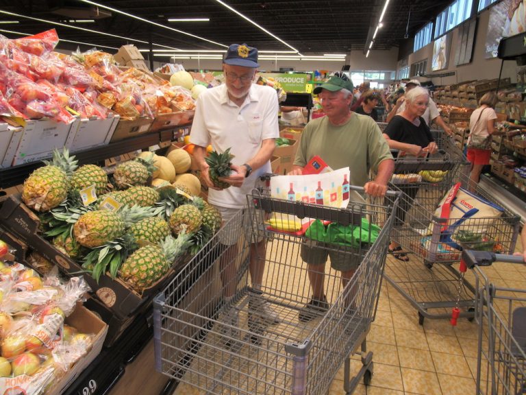 Loyal ALDI shoppers line up for reopening of renovated grocery store