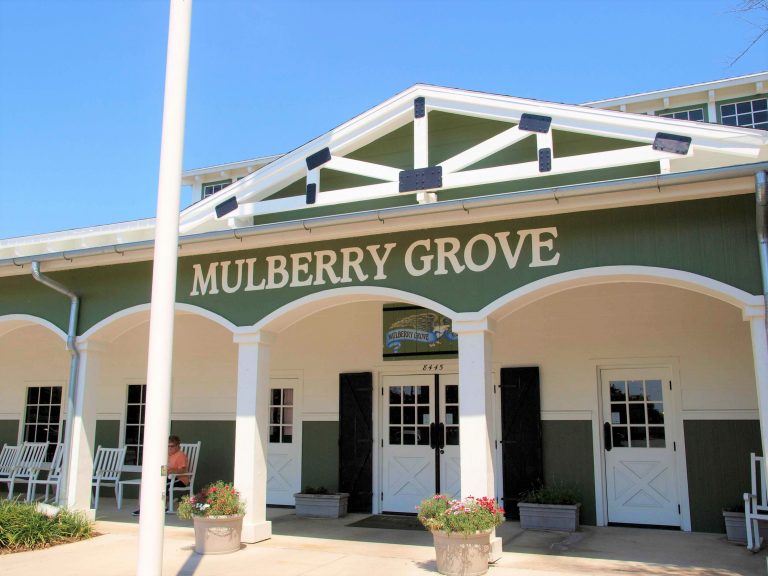 Mulberry Grove bocce courts will be closed for painting