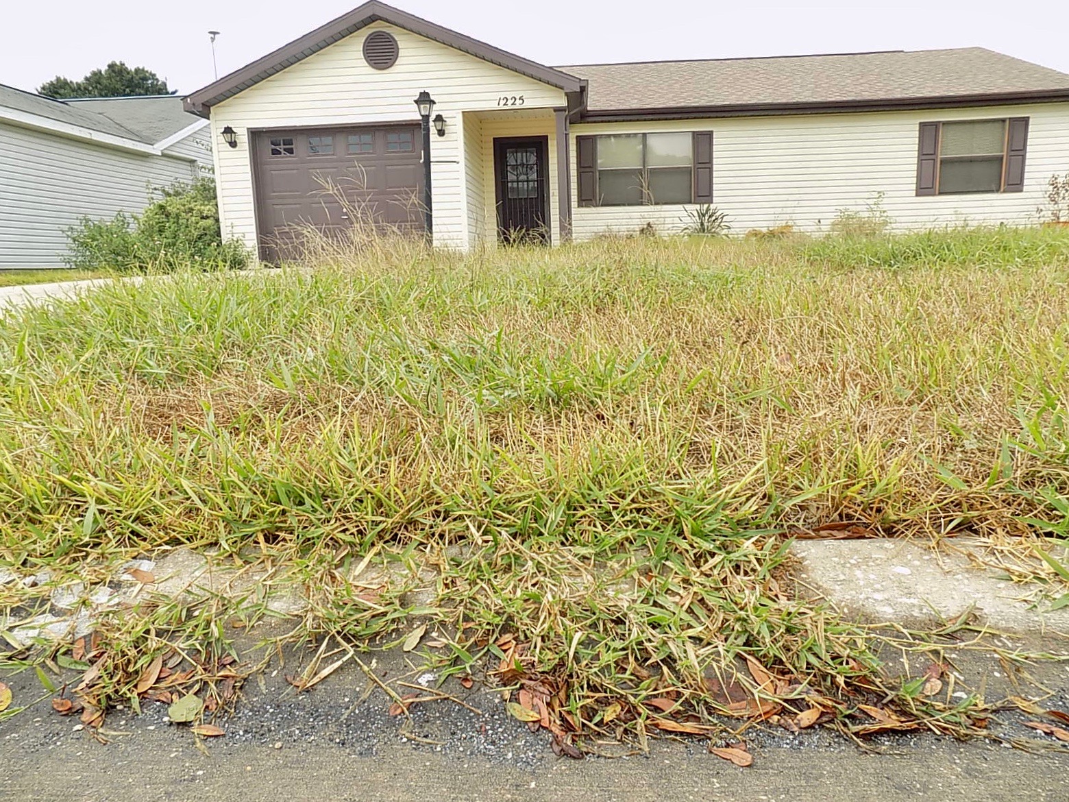 Featured image of post House With Overgrown Grass / It takes away from my home as well as just makes the entire neighborhood look horrible.