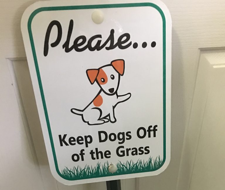 Villager can’t put up sign despite 50 dogs per day peeing on her lawn