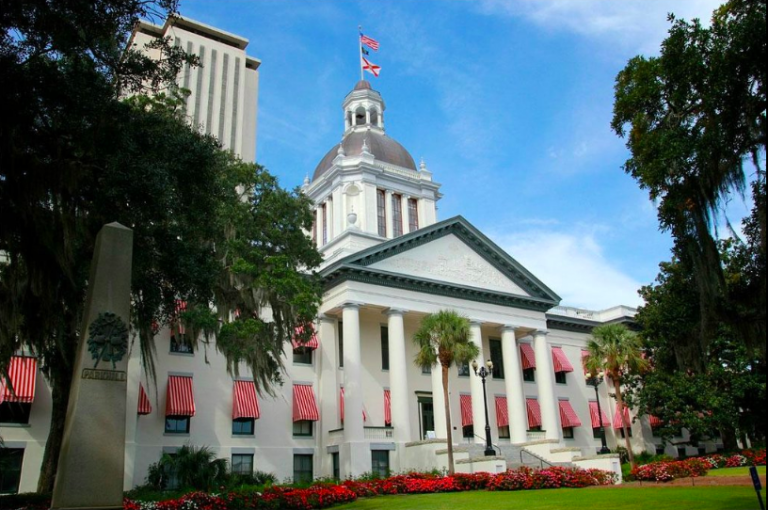 Florida Legislature should keep nose out of local issues