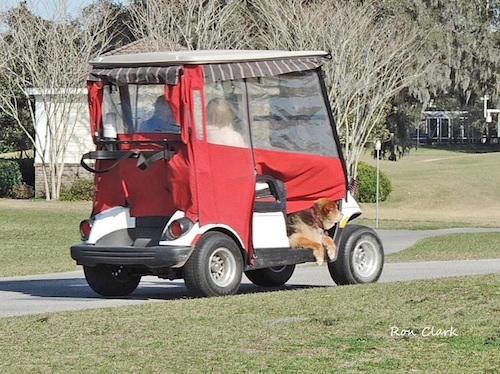 Enjoying a golf cart ride in The Villages