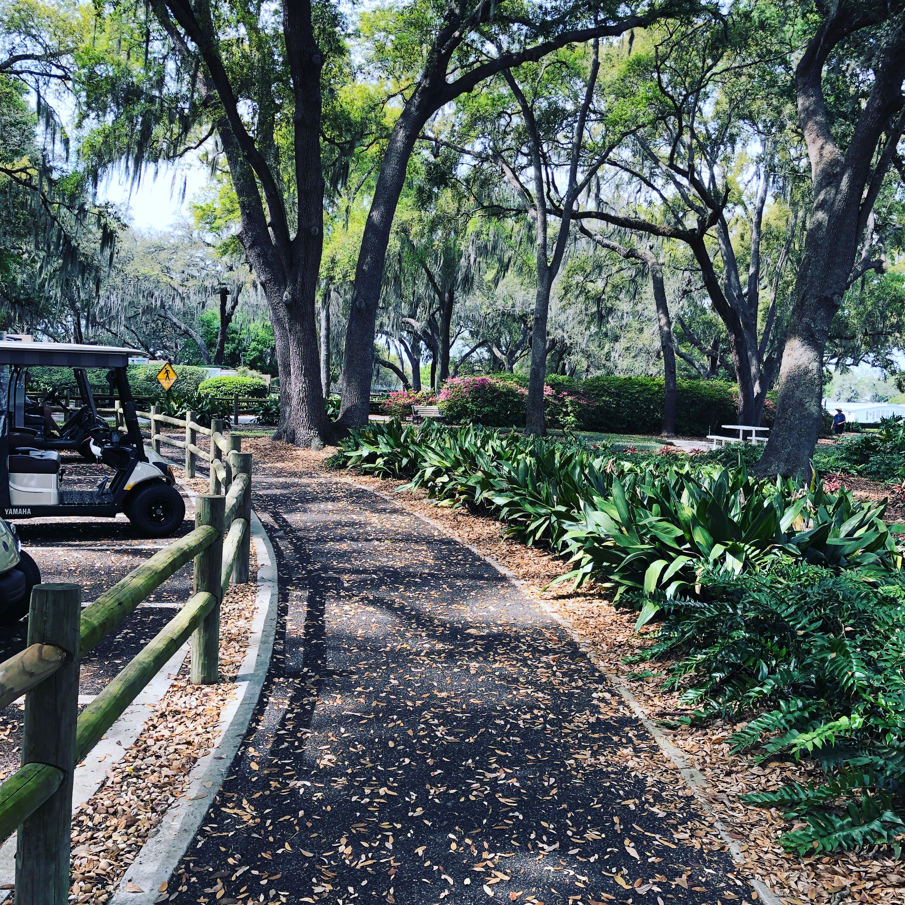 Beautiful Scenery At Paradise Park In The Villages Villages News Beautiful Scenery At Paradise Park In The Villages Villages News