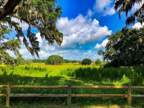 Marsh Bend Nature Trail in The Villages