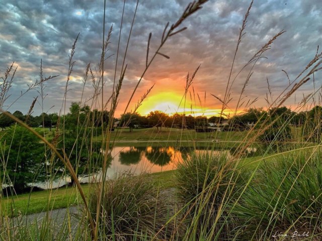 Sunset at Oakleigh Golf Course in The Villages