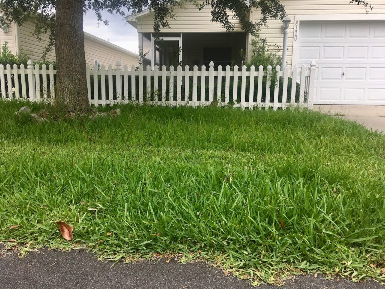Overgrown grass at apparently abandoned home subject of deed compliance hearing