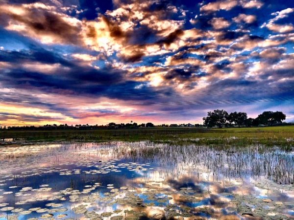 Sunset at Sharon Rose Wiechens Preserve