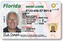 florida drivers license check using social security number