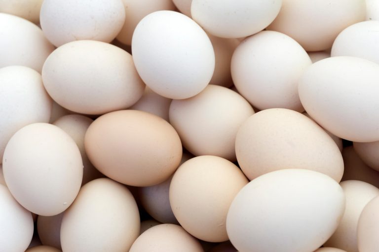 Eggs get more controversial headlines