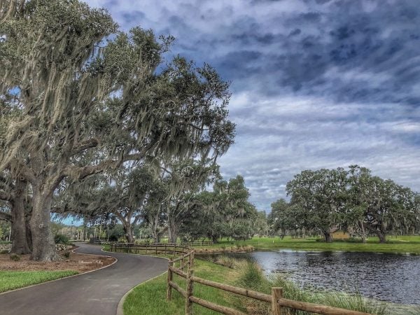Gorgeous View of Hogeye Walking Path