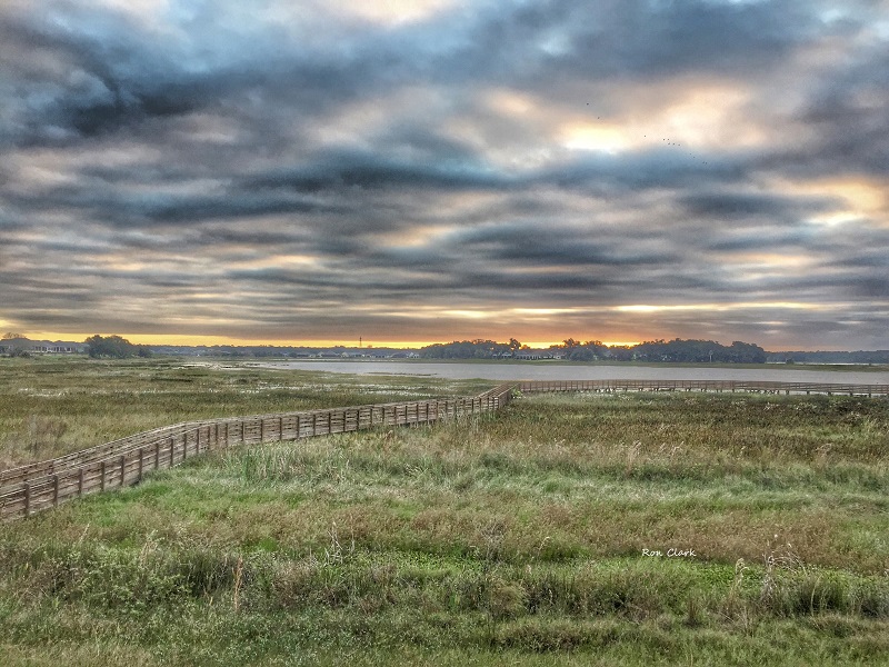 Cloudy Morning at the Sharon Rose Wiechens Preserve