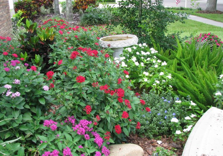 Addressing a myth about Florida-Friendly Landscaping
