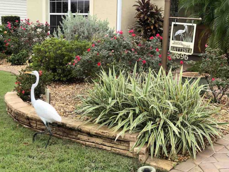 Great Egret posing by sign