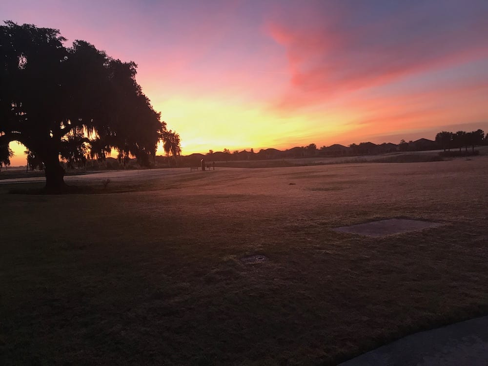 Beautiful Sunrise Over Mangrove Golf Course