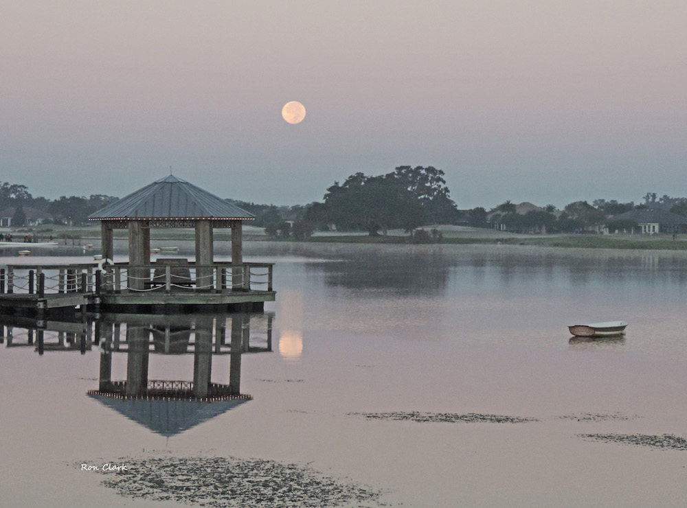 Full Moon Sets Over Lake Sumter