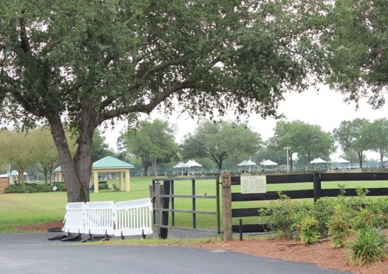 Confusion reigns over UF Health COVID-19 testing site at polo fields
