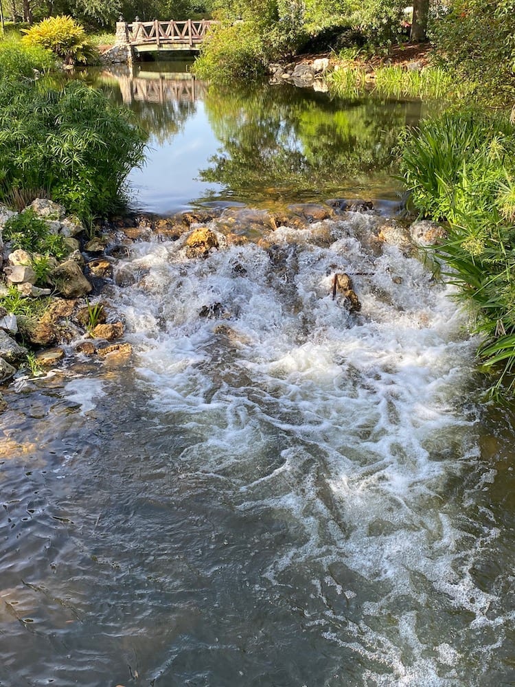 Waterfall And Bridge At Lake Sumter Landing Walking Path
