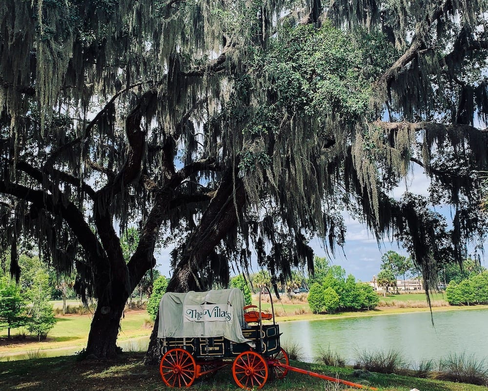 Covered Wagon Next To New Bridge By Brownwood