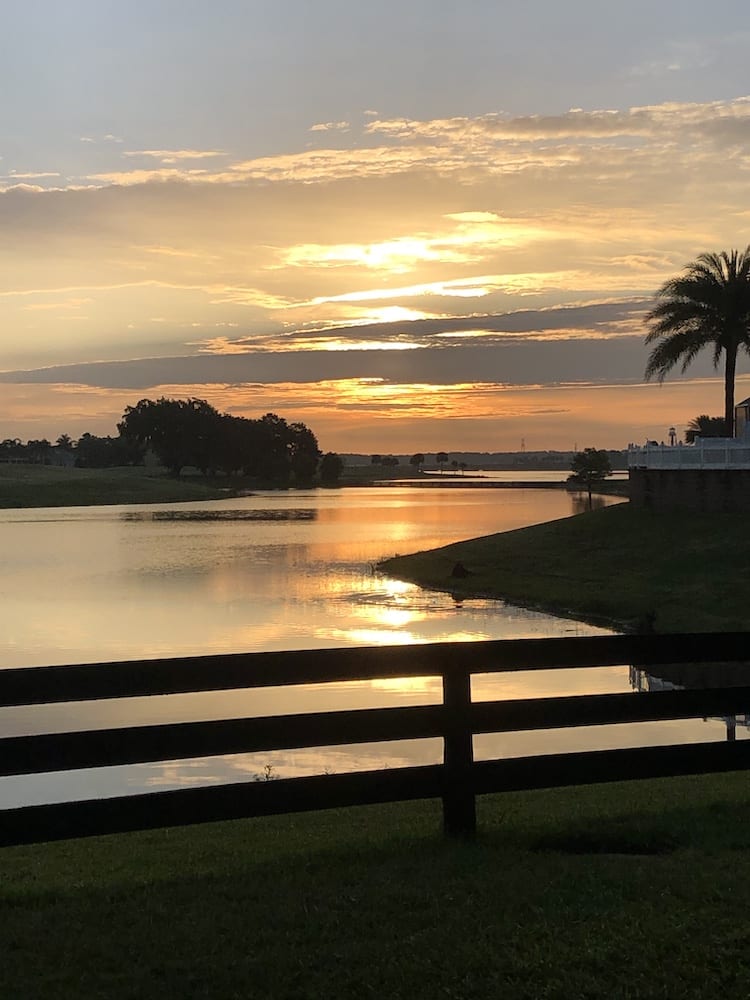 Gorgeous Morning At Lake Sumter Landing