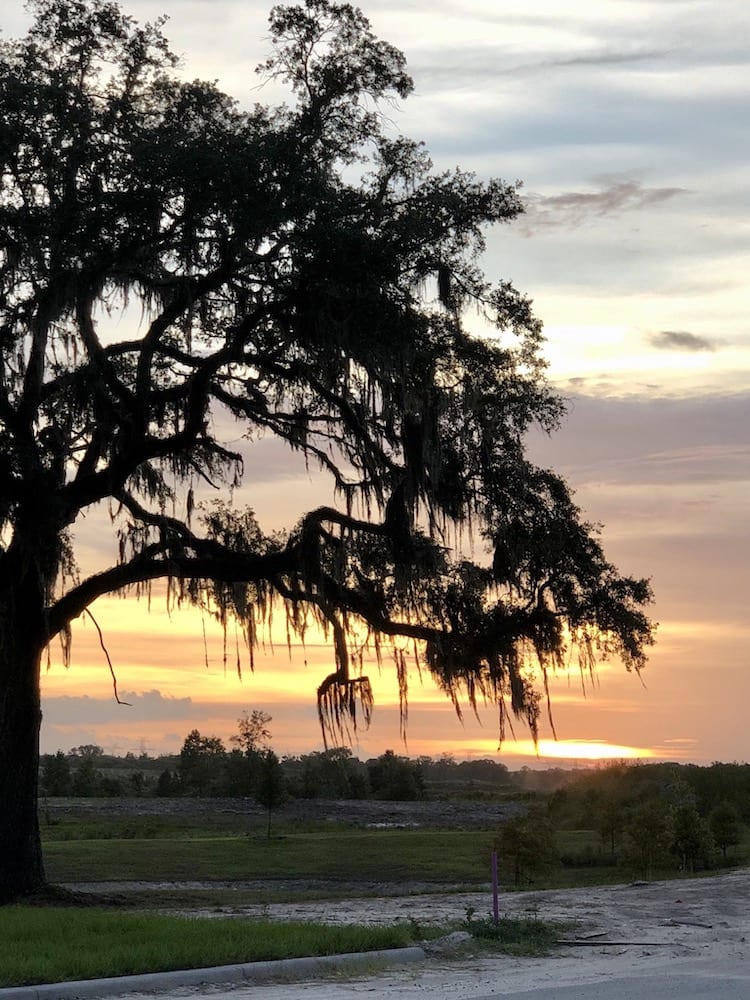 Glowing Sunset Near Hogeye Preserve