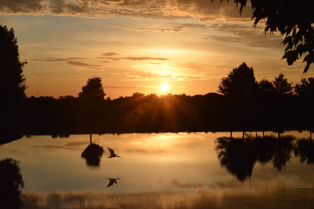 Orange Sunrise Over The Village Of Collier
