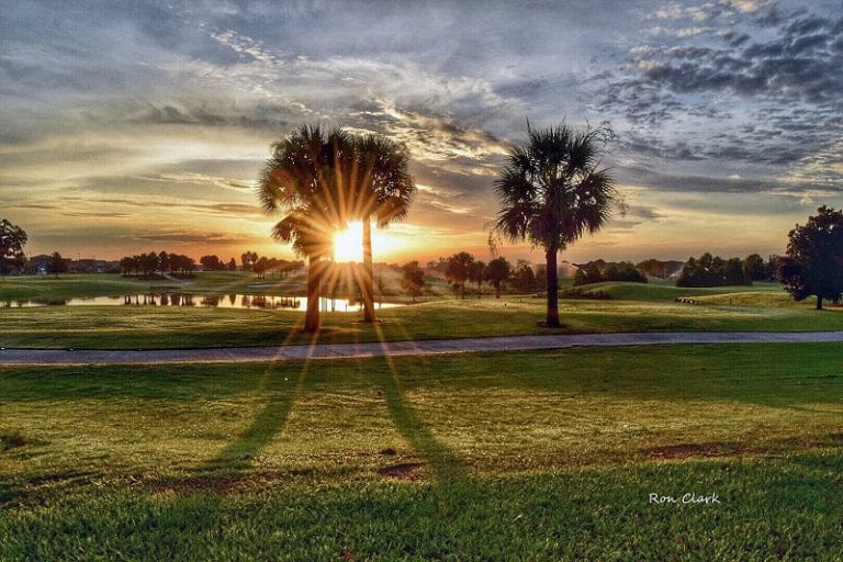 Sunrise At Palmetto Executive Golf Course