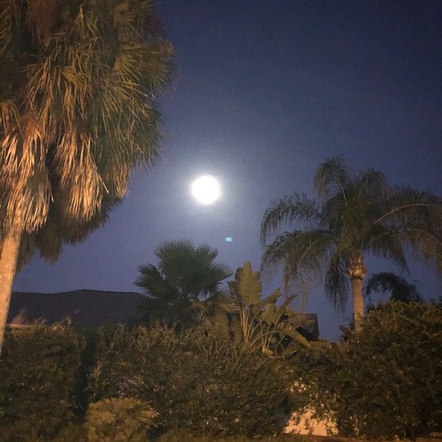 Early Morning Full Moon In The Villages