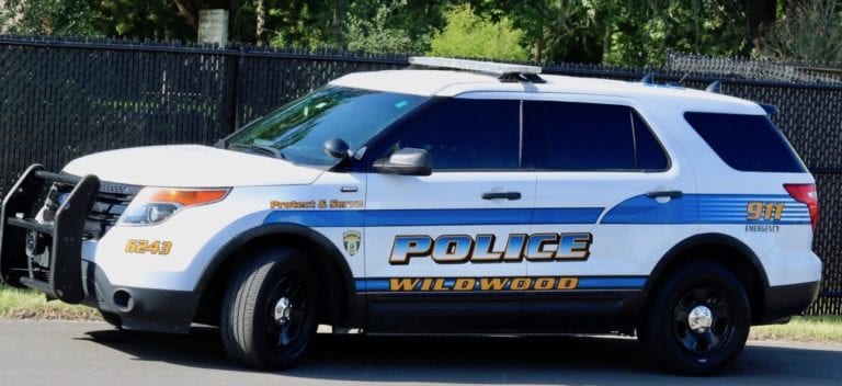 Wildwood police arrest apparently intoxicated man with loaded stolen gun