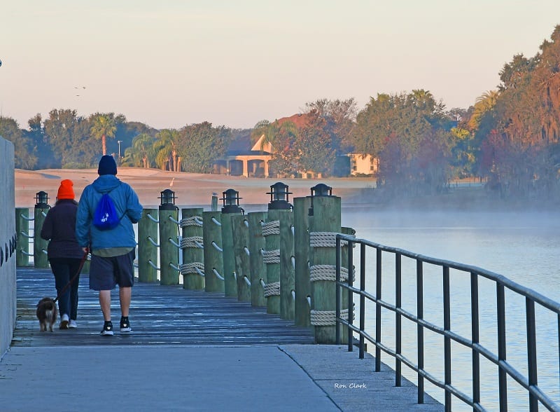 Morning Walk On Boardwalk Over Foggy Lake Sumter