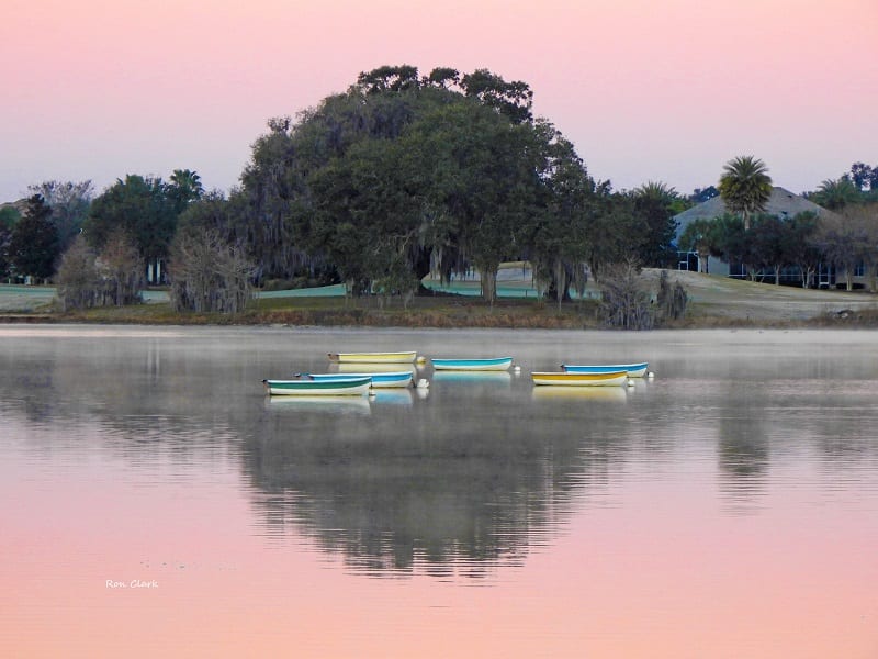 Pink Sunrise On Lake Sumter
