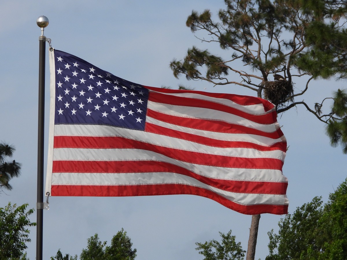 American Flag By Eagles Nest Near The Leo Villas