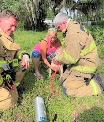 Villages Public Safety Department dog rescue