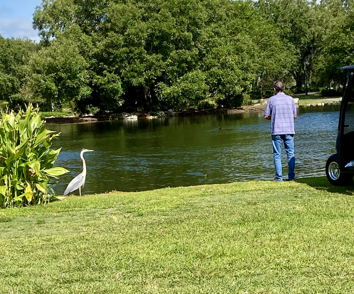 Fishing Buddy At Golf Course