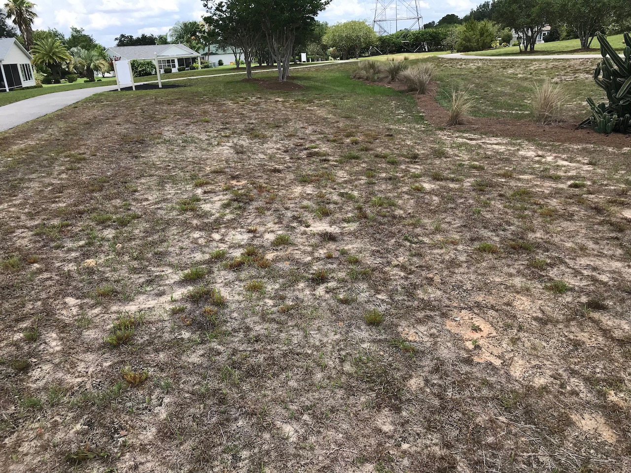 The area around the Springdale Fitness Trail is completely dried out