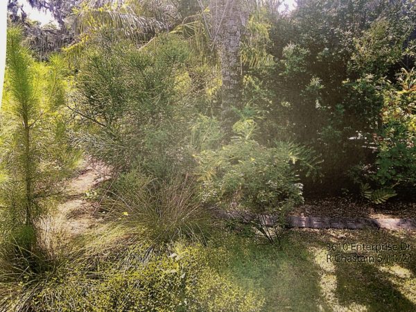 This Florida Friendly Landscaping was the subject of a complaint at 3610 Enterprise Drive This Florida Friendly Landscaping was the subject of a complaint at 3610 Enterprise Drive