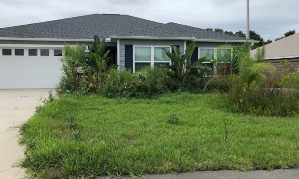Neighbors fear that snakes and rats are living in the overgrown grass at this home at 5487 Kate Court