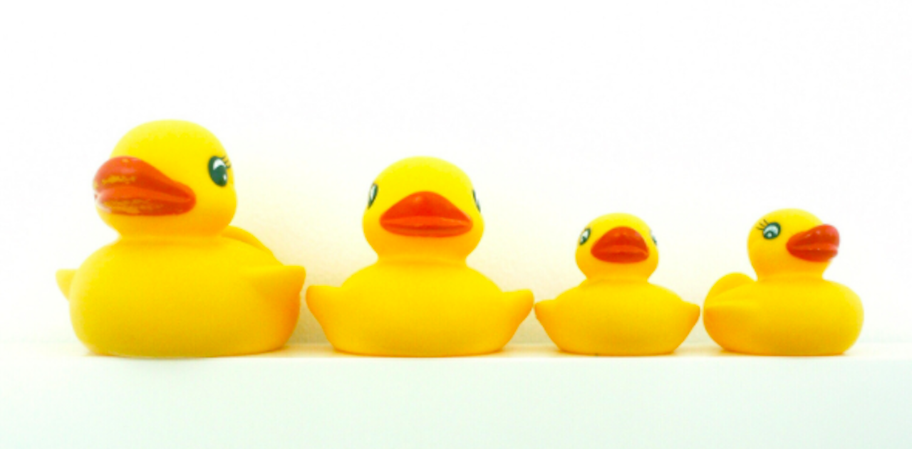Rubber Ducky Family