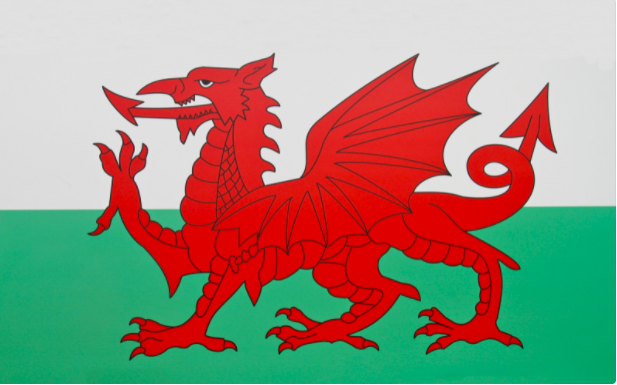Welsh Flag