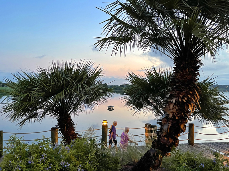 Beautiful Day At Lake Sumter Landing Boardwalk