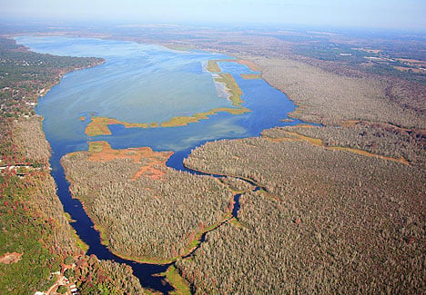 Lake Panasoffkee