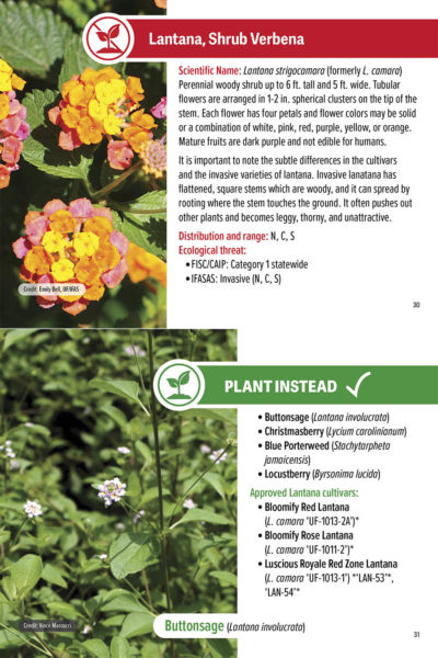 A guide shows what not to plant and what to plant